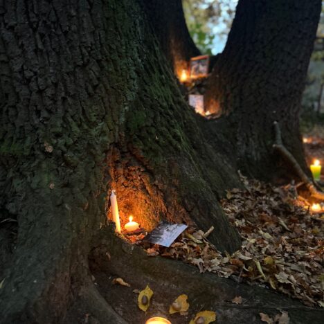 Art fest přinese nové pohledy na přírodní hřbitov
