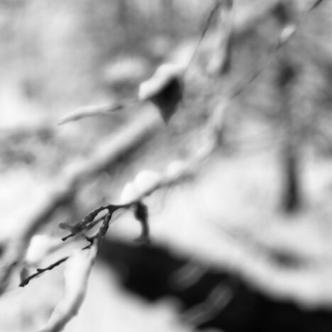 Z místa, kde se loučím